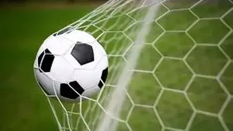 万博manbetx体育平台