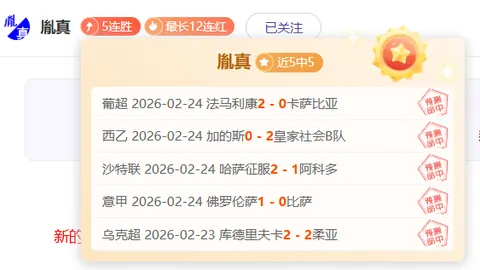 惊爆！英超霸主因财务违规遭重罚6分，莱斯特城恐两年内跌落英甲深渊！