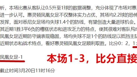 《范德芬揭秘：赛季初目标五球，与罗梅罗深情兄弟情谊展露无遗！》